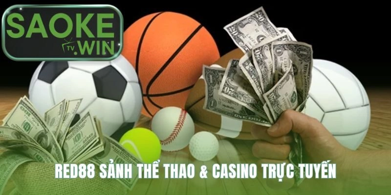 Sảnh cược đa dạng từ thể thao đỉnh cao đến live casino